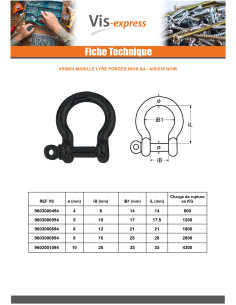 Manille LYRE Forgée Inox A4 Noir Diamètre 4 2