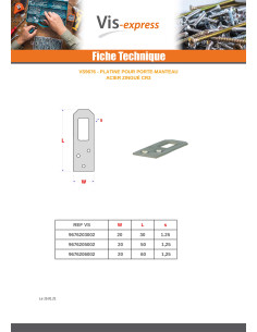 Platine Porte MANTEAU Acier zingué 20X60 2