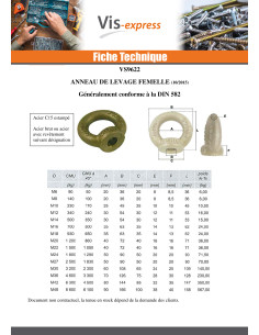 Anneau de levage Femelle M20 Acier brut 2