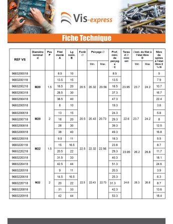 Filet rapporté M22X33 Pas fin Pas de 150 Inox