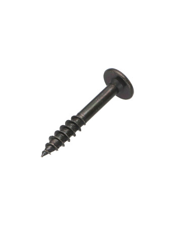 Vis Penture 6X50 Filetée sur 20 TORX T30 Acier zingué noir