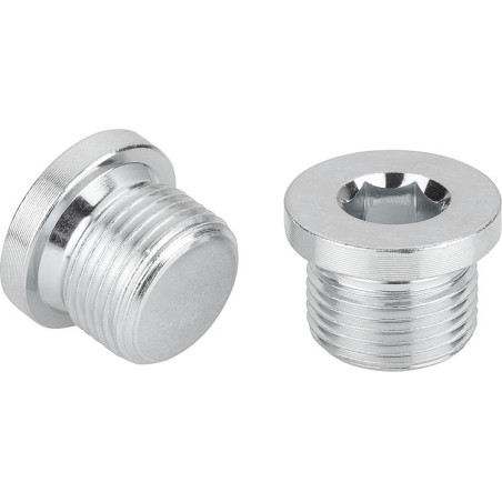 Bouchon Hexagonal creux à collerette Clé de 6 HC6 Inox A2 8x13 (1/4") X15 GAZ