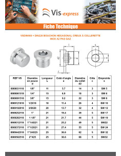 Bouchon Hexagonal creux à collerette Clé de 10 HC10 Inox... 2