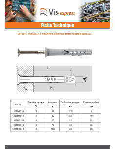 Cheville à frapper Nylon 6X40 avec vis Tête fraisée Inox A4 2