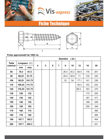 Tirefonds Inox A2 10X100