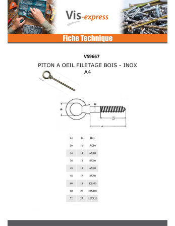 Piton Bois Oeil 10X100 Oeil 22 Inox A4