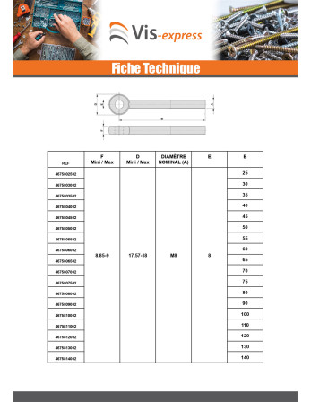 Vis métaux à Oeil M8X80 Filetée sur 22 Acier zingué