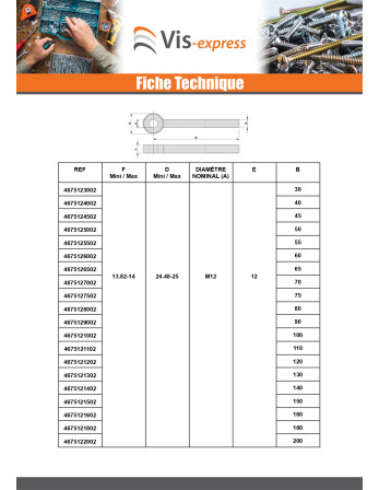Vis métaux à Oeil M8X80 Filetée sur 22 Acier zingué
