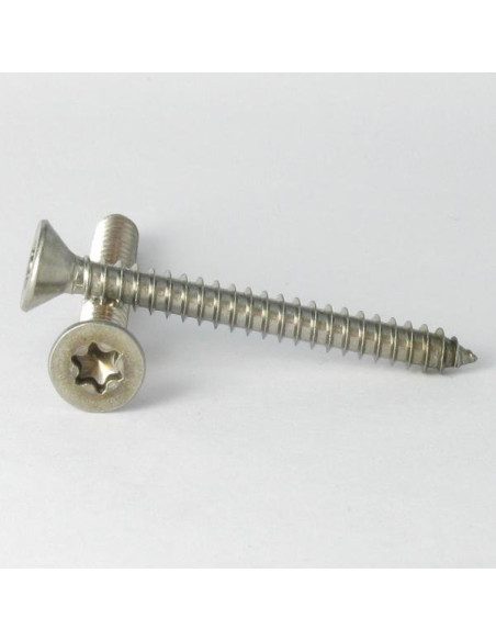 1 x Vis tôle Tête fraisée 4.8X100 Inox A2