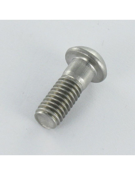 1 x Vis métaux Tête cylindrique bombée TCB Inox A2 M6X16 Diamètre de tête: 10.3 TORX T20