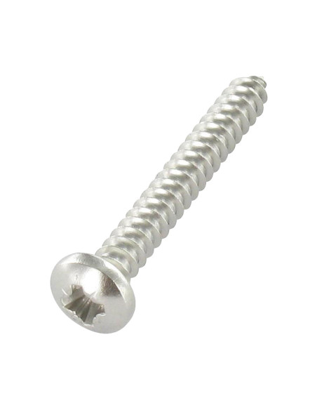 1 x Vis tôle tête cylindrique bombée large Pozi 4.8X60 Inox A4