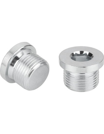 Bouchon Hexagonal creux à collerette Clé de 12 HC12 Inox A2 3/4 X 20 GAZ