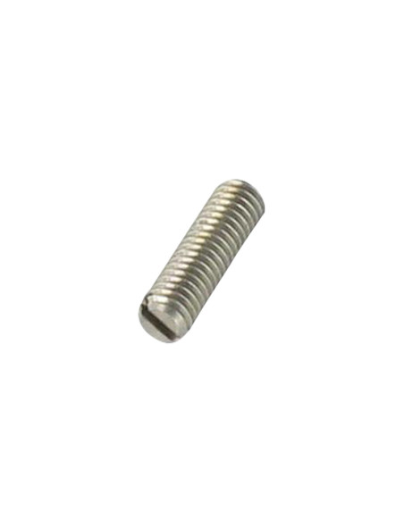 1 x Vis métaux Sans tête Fendue à Pointe M4X6 Inox A2