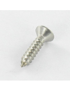 Vis tôle Tête fraisée bombée TFB Pozi 3.9X13 Inox A4 2