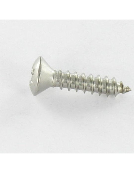 1 x Vis tôle Tête fraisée bombée TFB Pozi 4.2X38 Inox A4