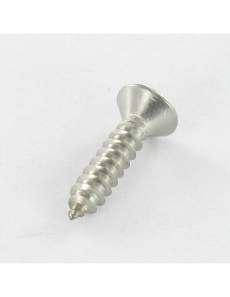 1 x Vis tôle Tête fraisée bombée TFB Pozi 4.2X45 Inox A4
