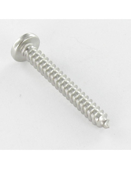 1 x Vis tôle tête cylindrique bombée large Pozi 4.2X19 Inox A4