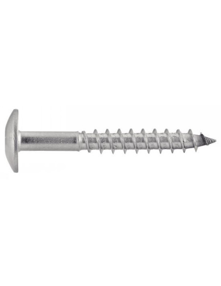 1 x Vis de facade TORX T20 4.8X60 Diamètre de tête: 12.3 Inox A2