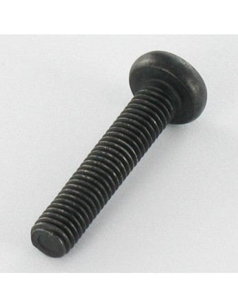 Vis métaux tête cylindrique bombée large Inox A2 M5X25 Noir TORX T20