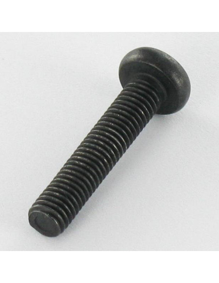 1 x Vis métaux tête cylindrique bombée large Inox A2 M5X25 Noir TORX T20