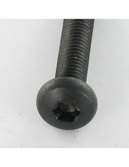 1 x Vis métaux tête cylindrique bombée large Inox A2 M5X25 Noir TORX T20