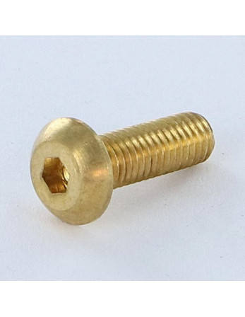 Vis métaux BHC (Tête Bombée Hexagonal creux) M5X16 Clé de 3 HC3 Laiton