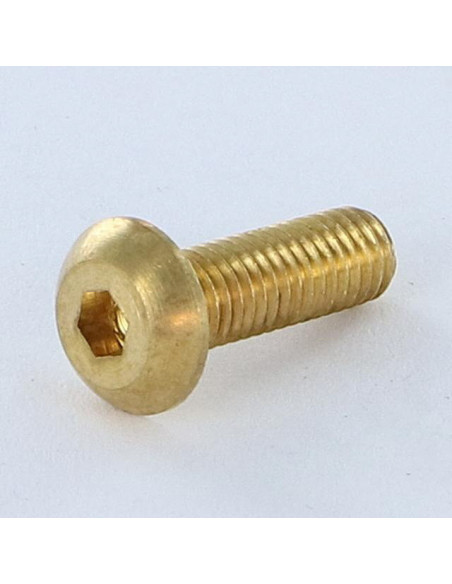 1 x Vis métaux BHC (Tête Bombée Hexagonal creux) M5X16 Clé de 3 HC3 Laiton