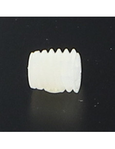 Vis métaux Nylon Sans tête six pans creux (sthc) M6X6...