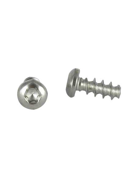 1 x Vis pvc tête cylindrique bombée large 5X12 TORX T20 Inox A2 Diamètre de tête: 9.5