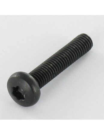 Vis métaux tête cylindrique bombée large Inox A2 M5X25 Noir TORX T20