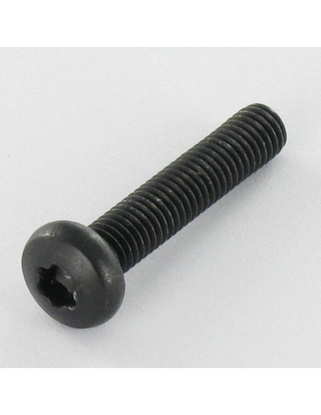 1 x Vis métaux tête cylindrique bombée large Inox A2 M5X25 Noir TORX T20