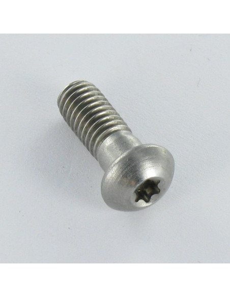 1 x Vis métaux Tête cylindrique bombée TCB Inox A2 M6X16 Diamètre de tête: 10.3 TORX T20