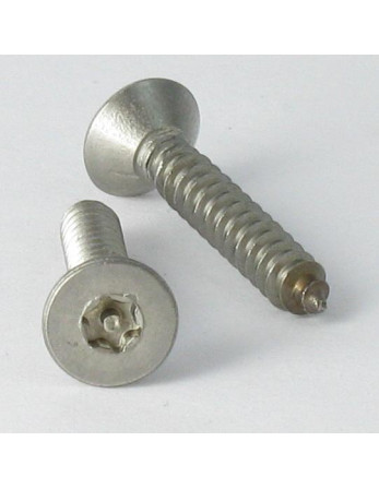 Vis tôle Inviolable Inox A2 Tête fraisée TORX T25 avec téton 4.8X38