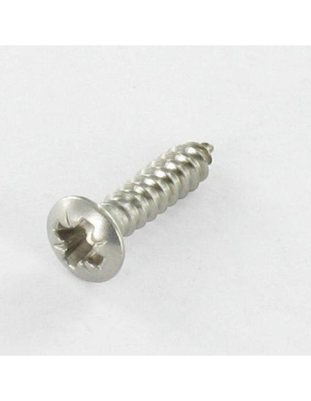 1 x Vis tôle Tête fraisée bombée TFB Pozi 2.9X13 Inox A4