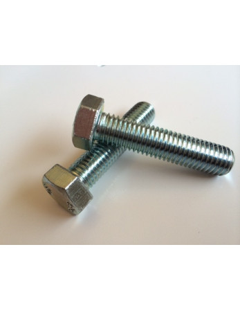 Vis métaux Tête hexagonale TH Inox A4 80 M12X100