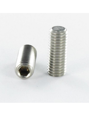 Vis métaux Sans tête six pans creux (sthc) Inox A4 Clé de 5 HC5 Bout plat M10X20