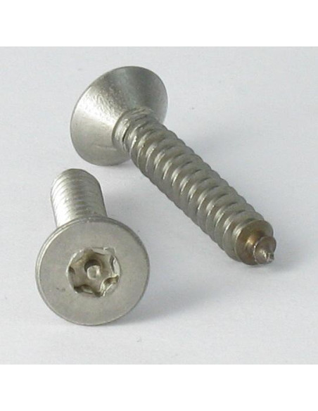 1 x Vis tôle Inviolable Inox A2 Tête fraisée TORX T15 avec téton 3.5X16