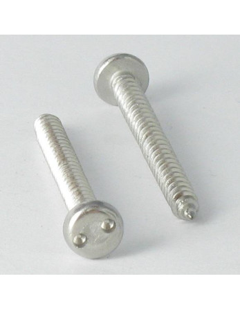 Vis tôle Inviolable Tête cylindrique TC Snake eyes 4.8X50 Inox A2