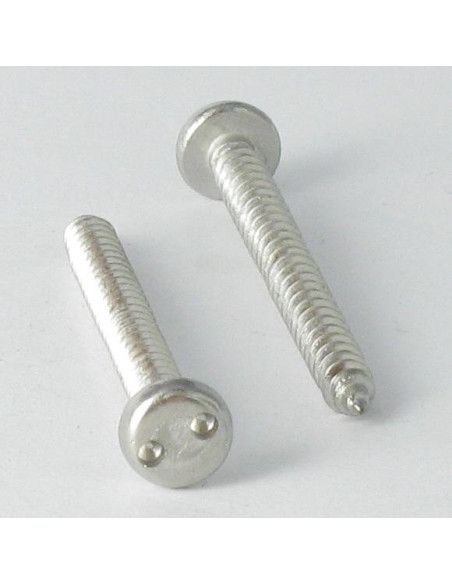 1 x Vis tôle Inviolable Tête cylindrique TC Snake eyes 4.2X19 Inox A2