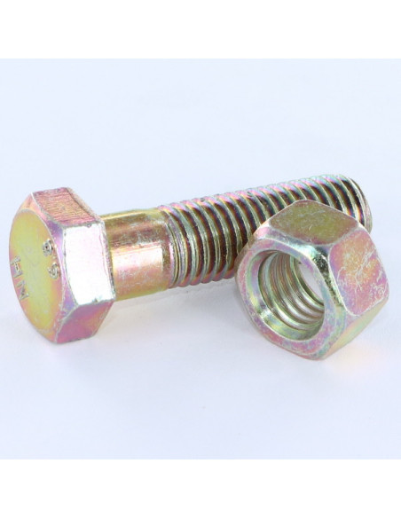 1 x Boulon (vendu avec Ecrou) Tête hexagonale TH M12X20 Bichromaté