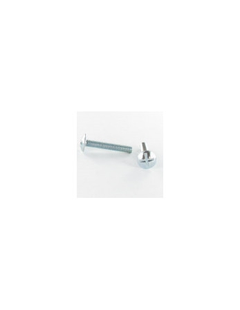 Vis Poelier M8X30 Inox A4