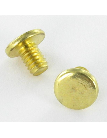OBTURATEUR Acier laitonne Tête plate 4.3X6 TORX T9