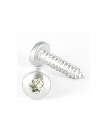 Vis Vis tôle tête cylindrique bombée large TORX T25 4.8X9.5 Inox A4