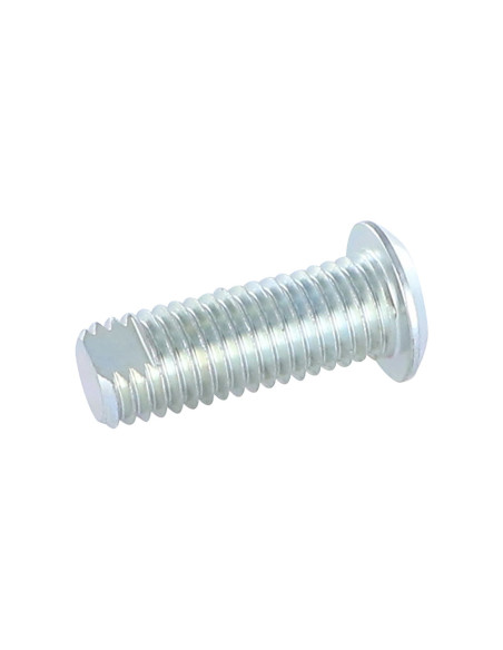 1 x Vis métaux Acier zingué Tête cylindrique TC 18/33 M 12/30 MEPLAT