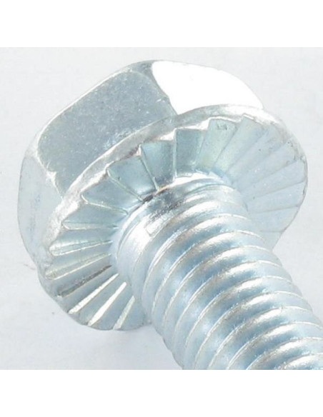 1 x Vis autotaraudeuse Tête hexagonale TH Embase collerette crantée 10X30 Acier zingué