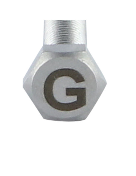 1 x Vis métaux Tête hexagonale TH 8X35 Inox A4 avec gravure de lettre "G"