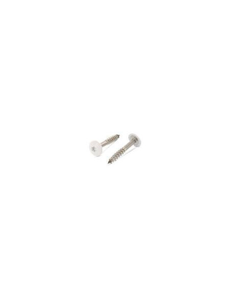1 x Vis de facade TORX T20 4.8X32 Diamètre de tête: 12.3 Inox A2 RAL1013 blanc perle