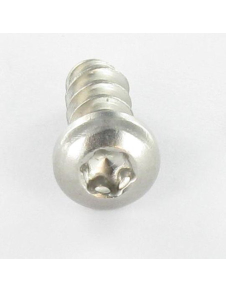 1 x Vis pvc tête cylindrique bombée large 5X30 TORX T20 Inox A2 400HBSSRR
