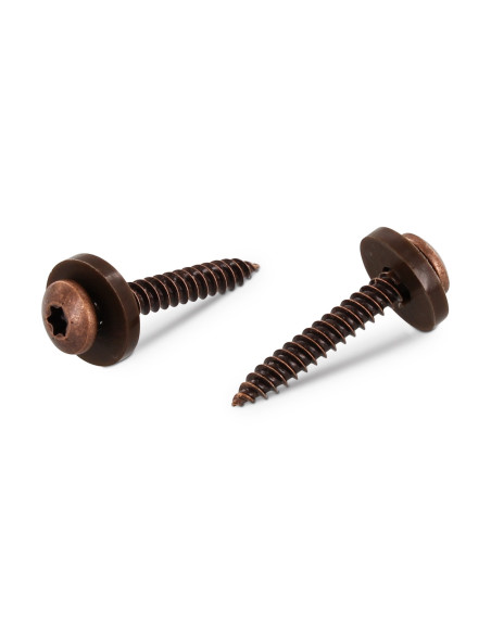 1 x Vis tôle Tête cylindrique TC TORX T15 + Rondelle Nylon 3.9X19 Inox A2 Marron