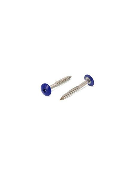 1 x Vis de facade TORX T20 4.8X38 Diamètre de tête: 12.3 Inox A2 RAL5002